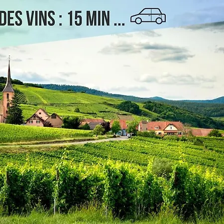 Διαμέρισμα Le Jardin Secret I Jardin Prive I Pet Friendly I Proche Colmar *