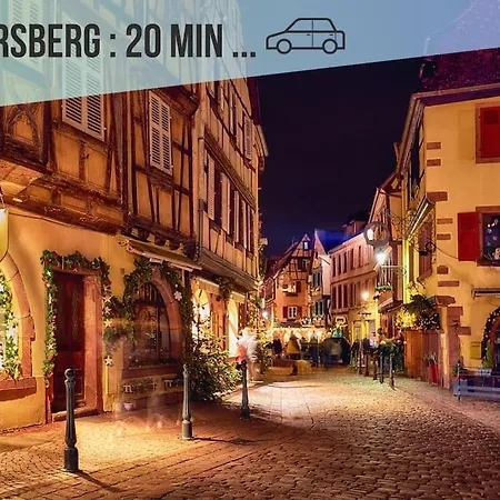 Le Jardin Secret I Jardin Prive I Pet Friendly I Proche Colmar Daire
