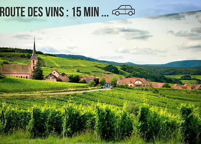 Διαμέρισμα Le Jardin Secret I Jardin Prive I Pet Friendly I Proche Colmar *