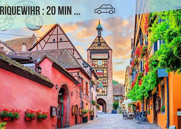 Διαμέρισμα Le Jardin Secret I Jardin Prive I Pet Friendly I Proche Colmar